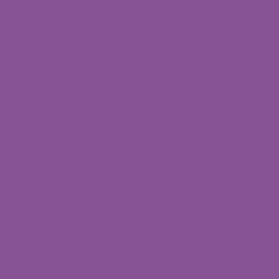 premium vinyl-provtagningsprovtagningsprovtagning princess - avtagbar