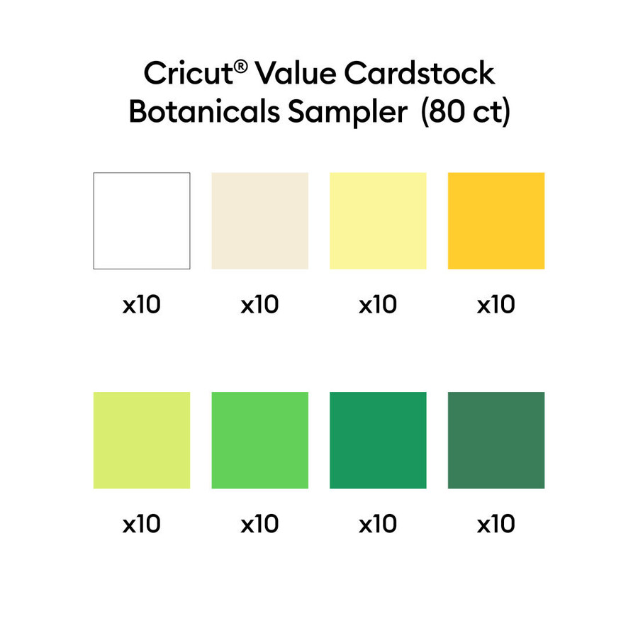 värdekartong provbitar med botaniska produkter - 85 x 11 tum 80 st